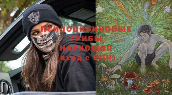 ешки Алексеевка