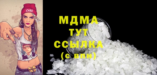 молекула духа Пересвет