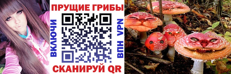 Галлюциногенные грибы ЛСД  купить наркотики сайты  Суровикино 