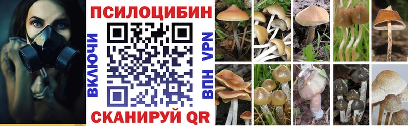 Псилоцибиновые грибы мицелий Суровикино